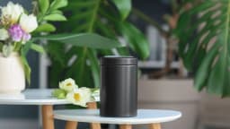 Is It Bad to Keep Ashes at Home? Cultural Beliefs vs Reality